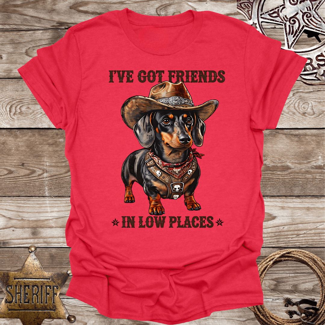 Unisex Softstyle T-Shirt - "I've Got Friends in Low Places"