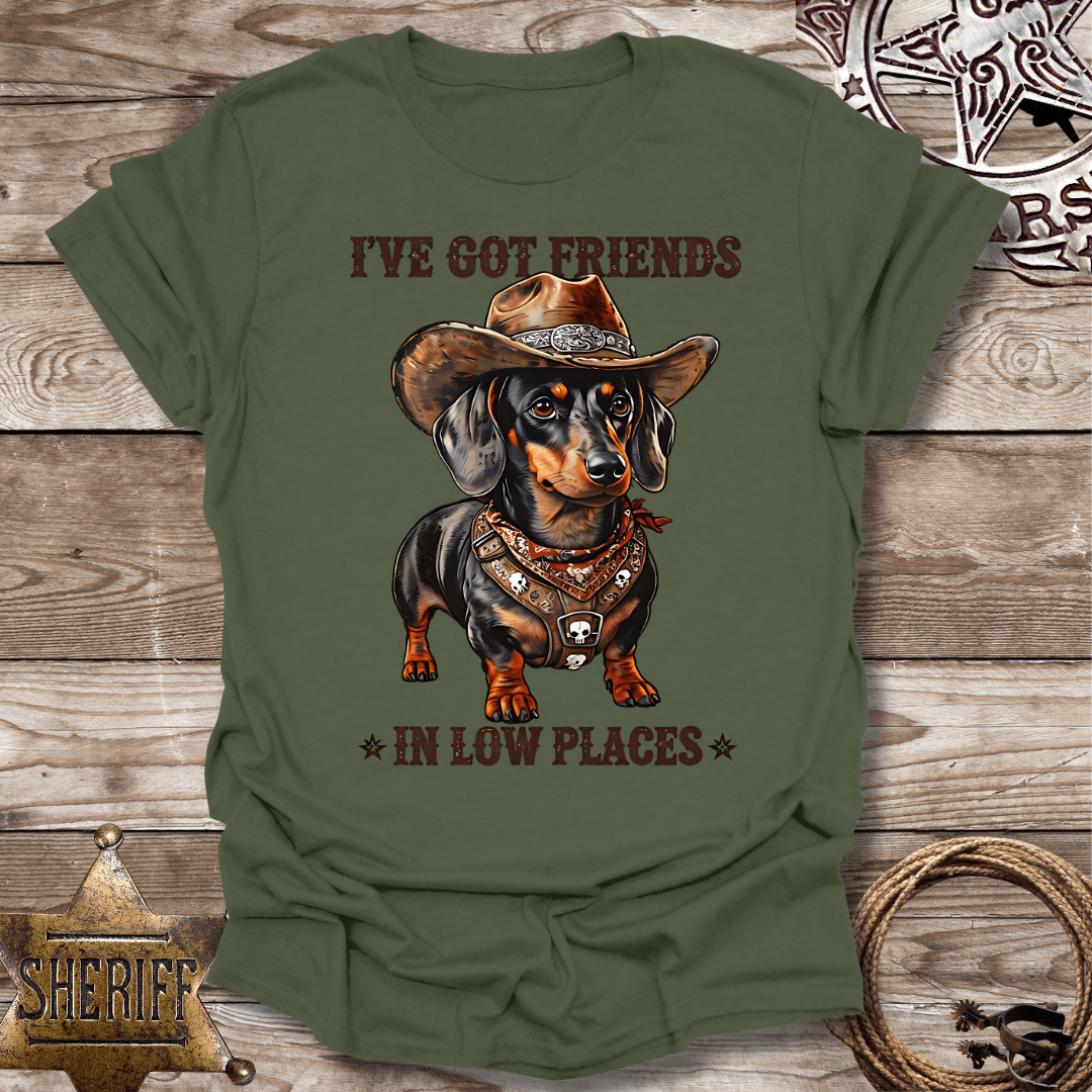 Unisex Softstyle T-Shirt - "I've Got Friends in Low Places"
