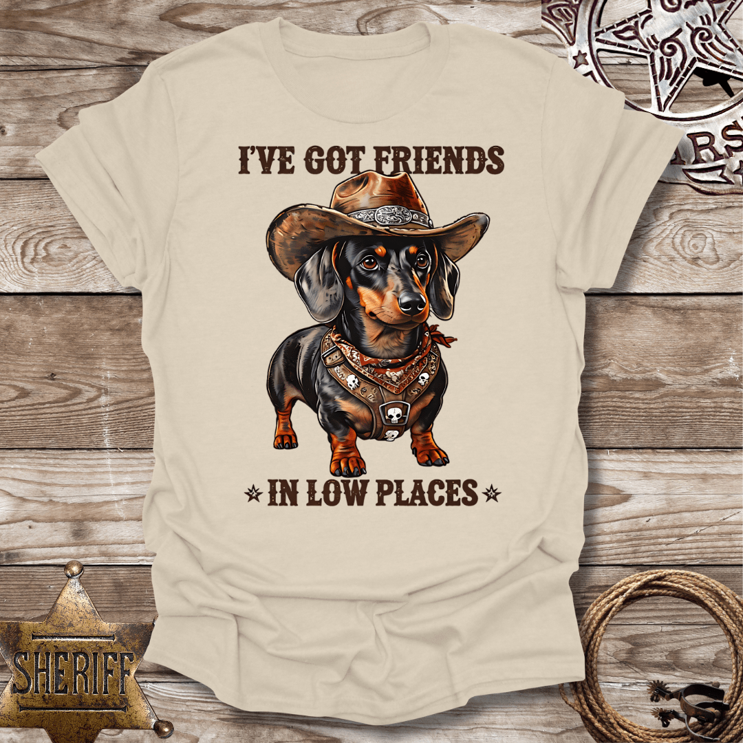 Unisex Softstyle T-Shirt - "I've Got Friends in Low Places"