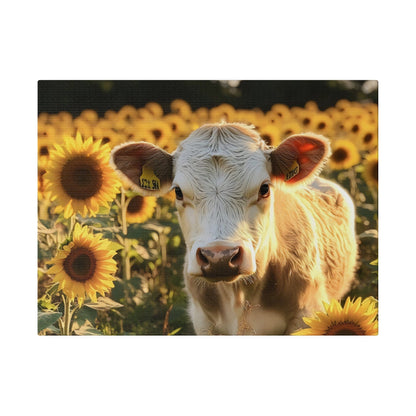 Matte Canvas, Stretched, 0.75" -Calf in a Field of Sunflowers