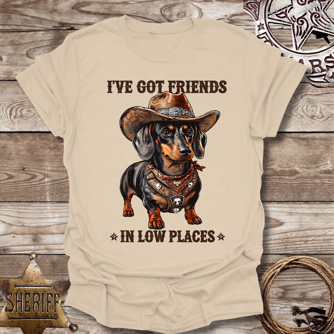 Unisex Softstyle T-Shirt - "I've Got Friends in Low Places"
