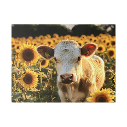 Matte Canvas, Stretched, 0.75" -Calf in a Field of Sunflowers